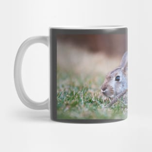 Mr. Cottontail Mug